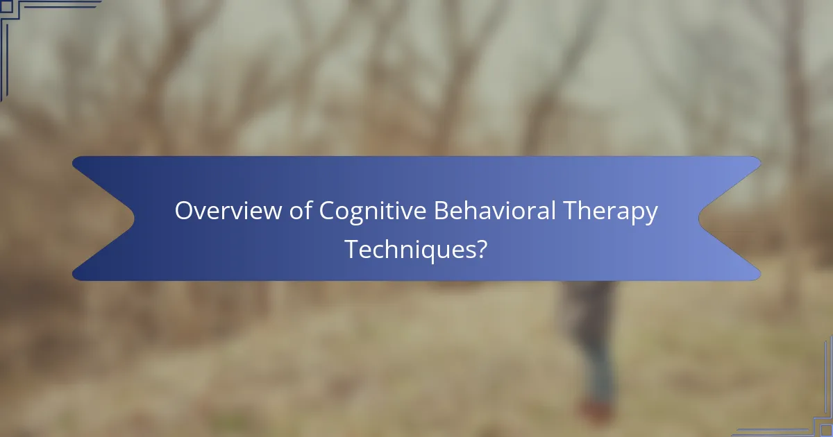 Overview of Cognitive Behavioral Therapy Techniques?