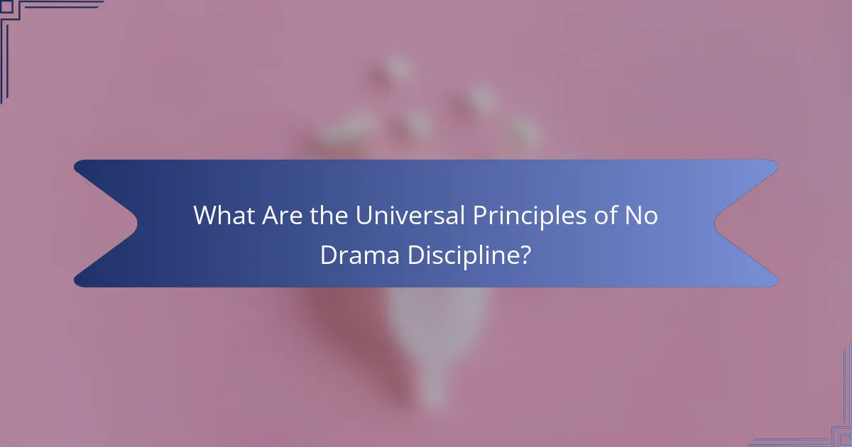 What Are the Universal Principles of No Drama Discipline?