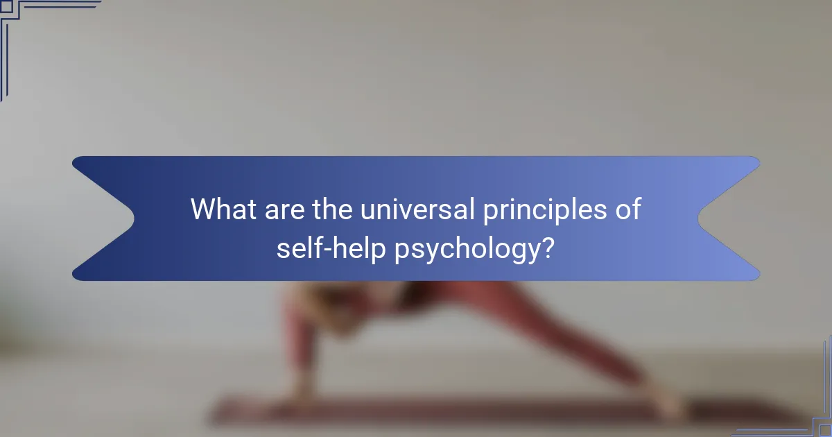 What are the universal principles of self-help psychology?