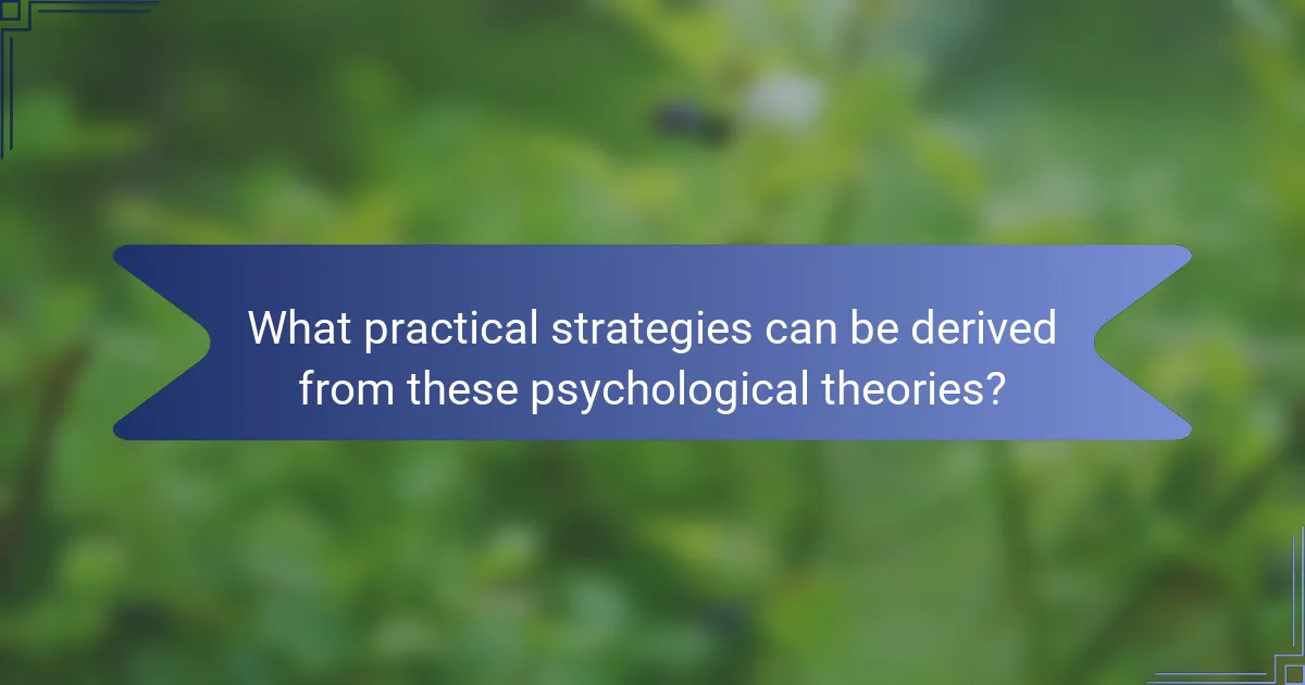 What practical strategies can be derived from these psychological theories?