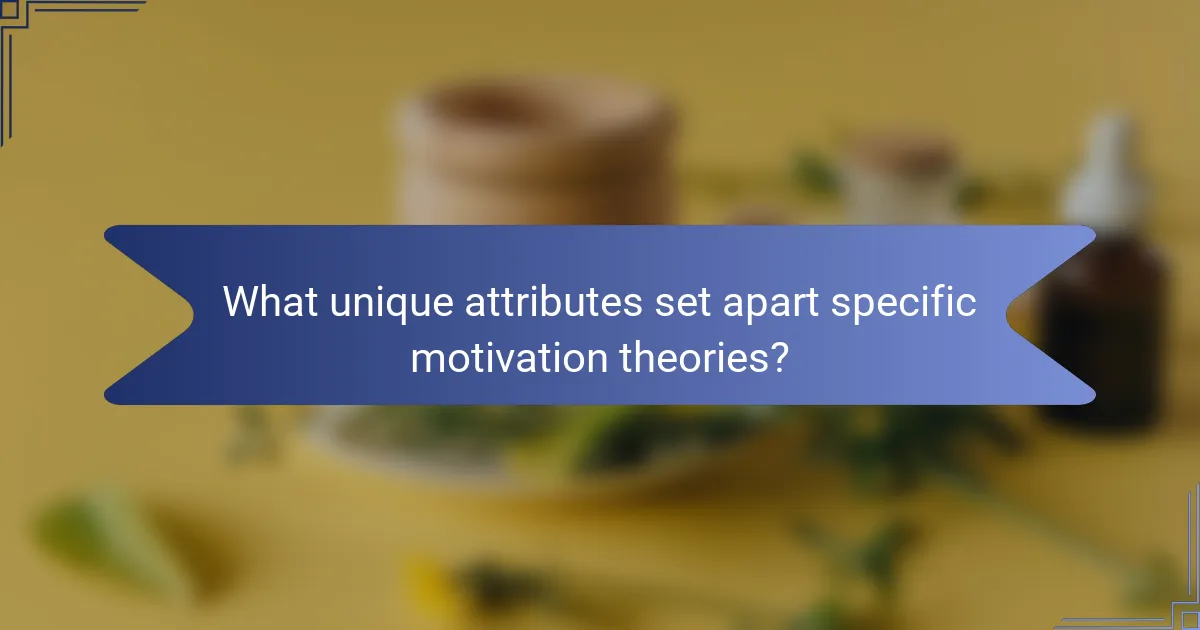 What unique attributes set apart specific motivation theories?