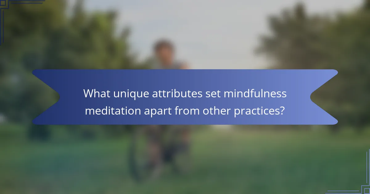 What unique attributes set mindfulness meditation apart from other practices?